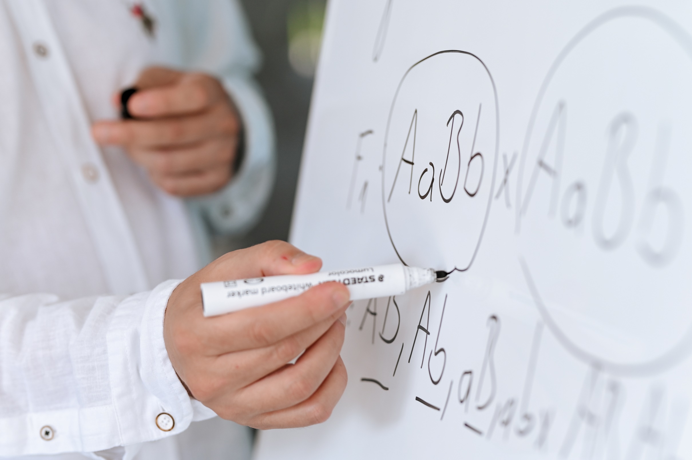 Online poluindividualne pripreme za državnu maturu i prijemne ispite